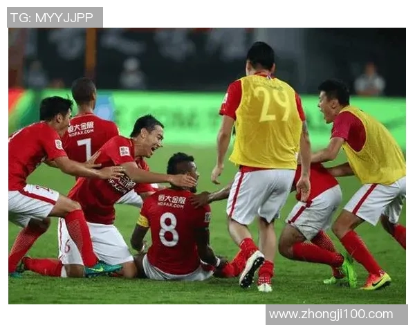 北京排球队灵活性引发热议球迷与专家观点交锋激烈